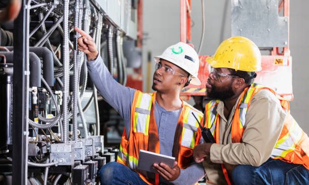 Best Electric Panel Repair  in Camp Point, IL