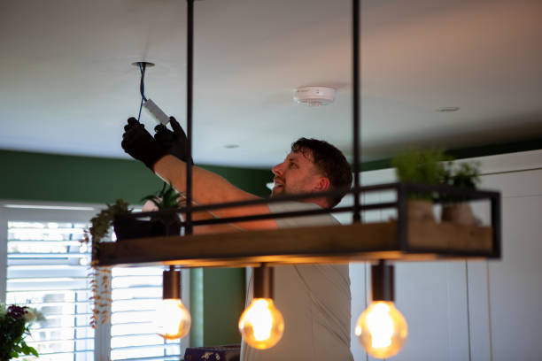 Best Generator Installation Services  in Camp Point, IL